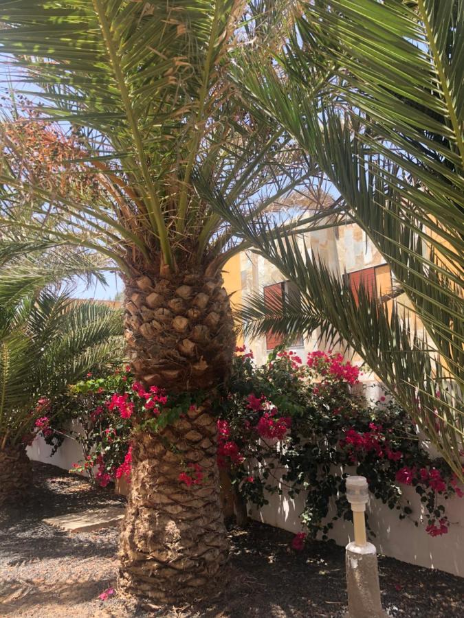 Apartamento Paradise Amaya Costa De Antigua Εξωτερικό φωτογραφία